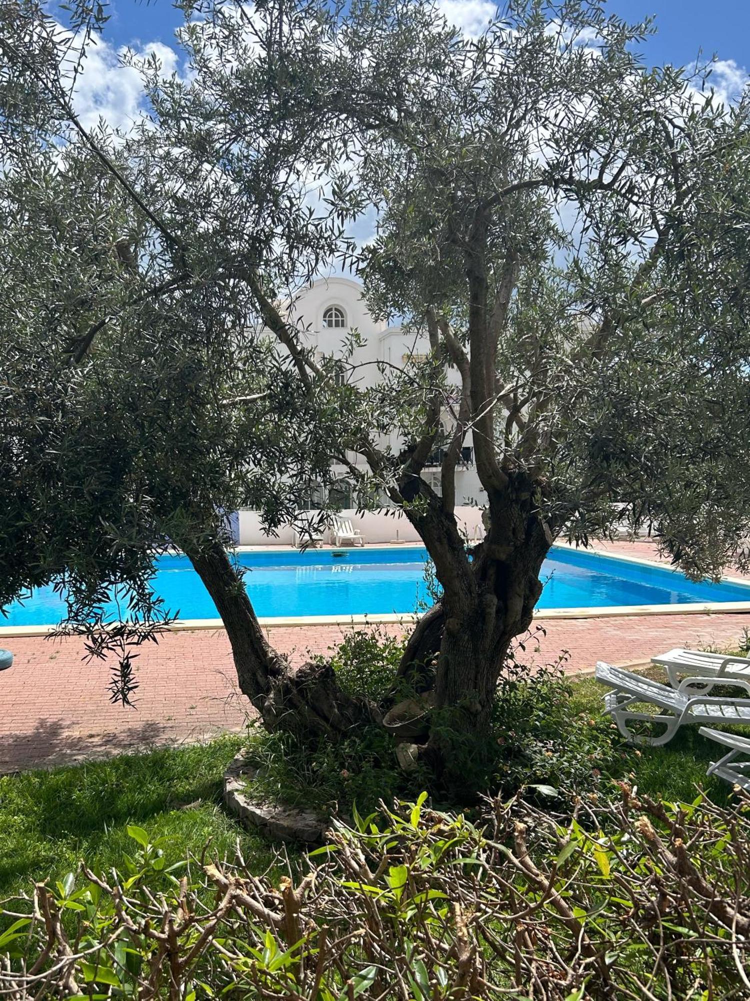 Tavira Garden 16 Διαμέρισμα Εξωτερικό φωτογραφία